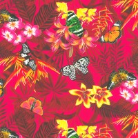 Everyday Premium Coated Counter Roll 100m x 50cm 7961808