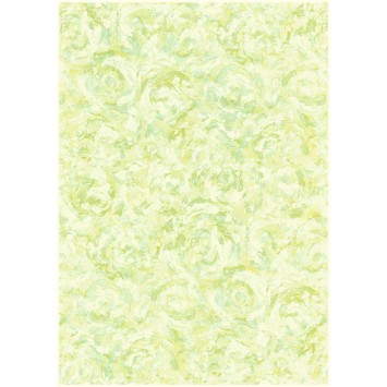 Premium Coated Counter Roll 204971