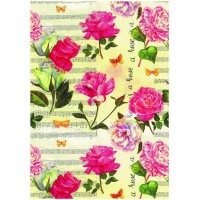 Counter Roll Everyday 205670 (100m x 70cm)