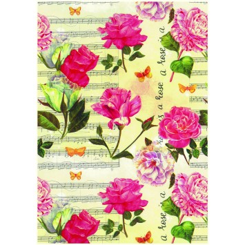 Counter Roll Everyday 205670 (100m x 70cm)