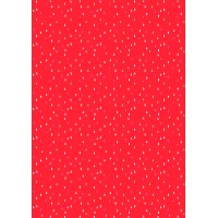 Counter Roll Everyday 4A89272