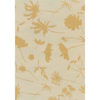 Counter Roll Everyday Kraft Eco 392781 +(Roll Size)