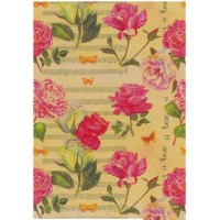 Counter Roll Kraft Everyday 395670