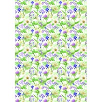 Counter Roll Everyday 3A03611 +(Roll Size)