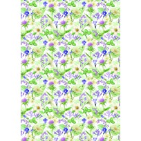 Counter Roll Everyday 3A03611