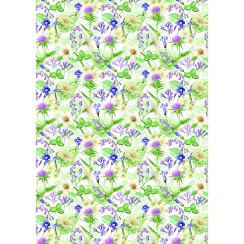 Counter Roll Everyday 3A03611 +(Roll Size)