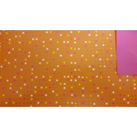 Everyday Premium Coated Gift Wrap Roll 5A2507 