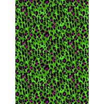 Counter Roll Everyday 6A16571