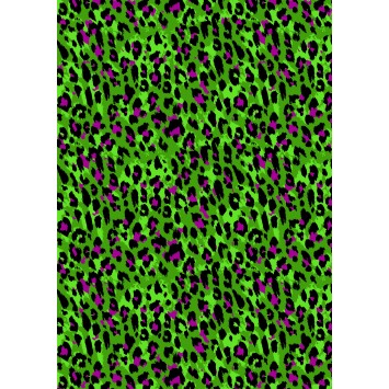 Counter Roll Everyday 6A16571