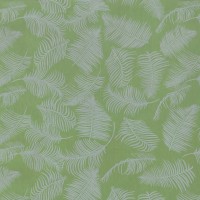 Counter Roll Everyday Eco Friendly 7961177