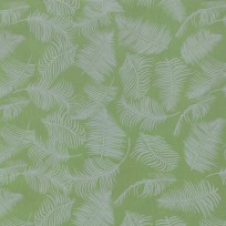 Counter Roll Everyday Eco Friendly 7961177