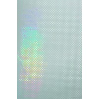 Counter Roll Holographic 9155343M  (100m x 50cm)