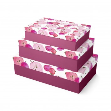 Shirt Box, 3 pieces K-29037-BXC