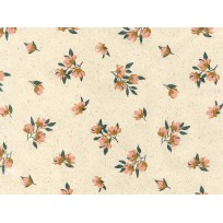 Counter Roll Everyday R81701G