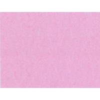 Tissue Paper - Light Pink (480 sheets) WR95011WF