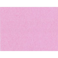 Tissue Paper - Dusty Pink (480 sheets) WR95011WF