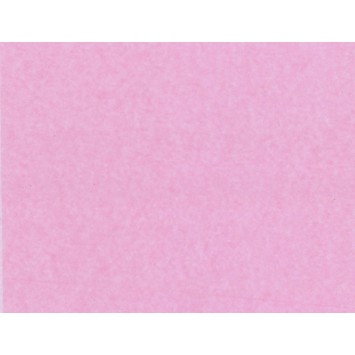 Tissue Paper - Dusty Pink (480 sheets) WR95011WF