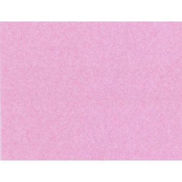Tissue Paper - Dusty Pink (480 sheets) WR95011WF