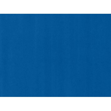 Tissue Paper - Blue (480 sheets) WR95029WF