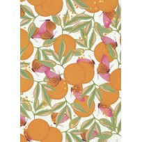 Counter Roll Everyday Luxury W40444