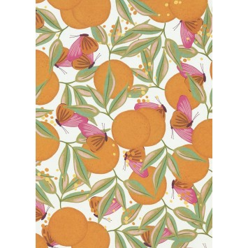 Counter Roll Everyday Luxury W40444